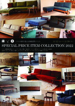 SPECIAL PRICE ITEM COLLECTION 2022